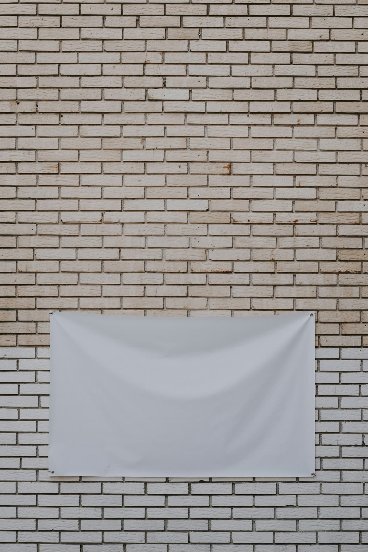 Large Format Printing — Banners, tear-drops, roll-ups and stickers printed at scale, plus the graphic design and brand identity work behind them.