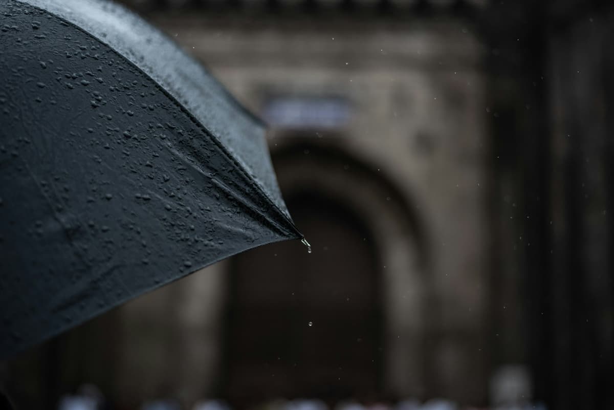 Branded Umbrellas — Panel printing across canopy segments, aligned so the mark reads from every side.